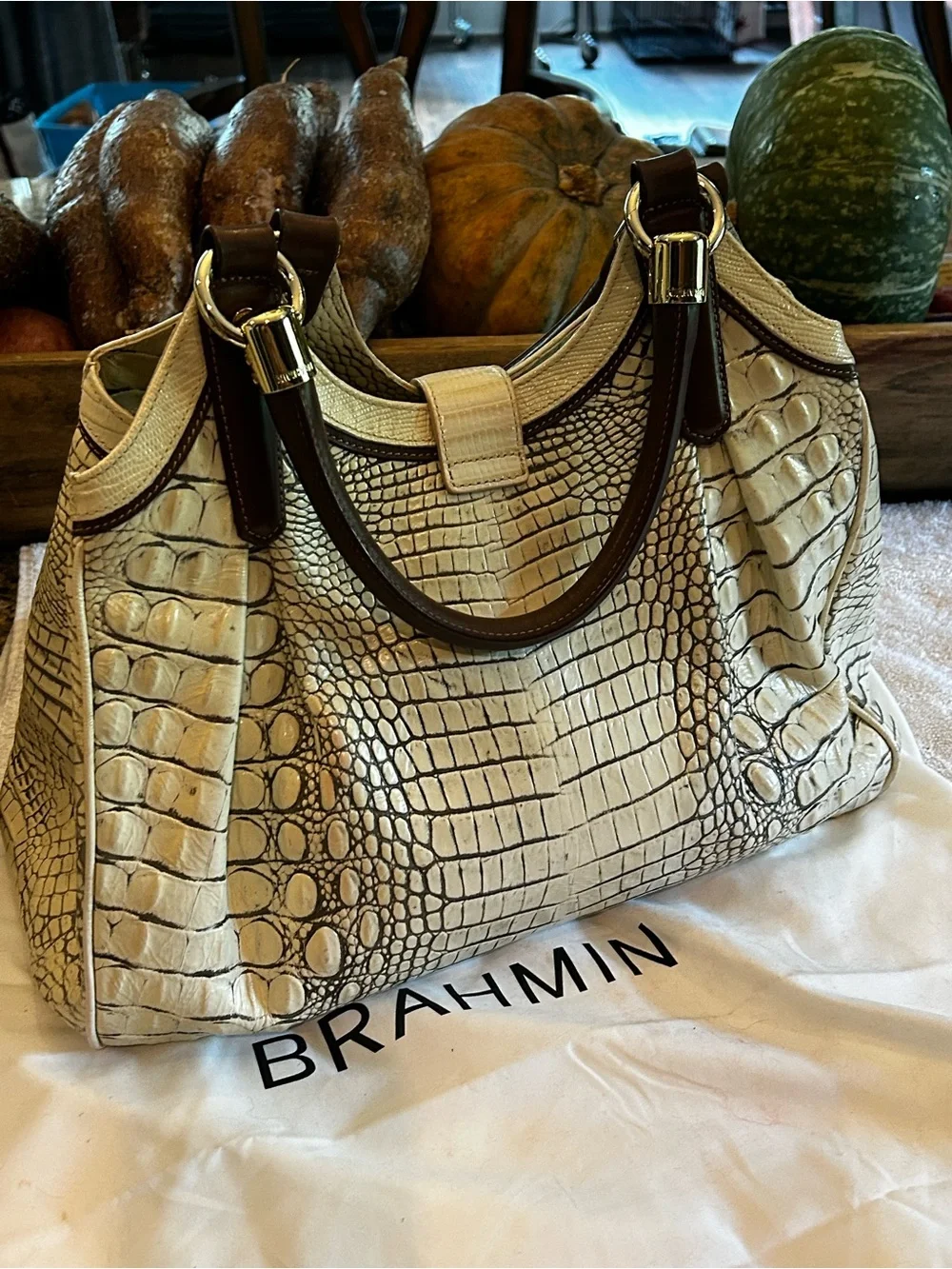 Brahmin Elisa Melbourne Hobo Satchel Ivory Coconut w Espresso Trim 2011 Retired